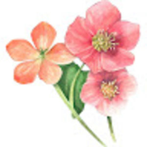 Meet your Posher, Lena